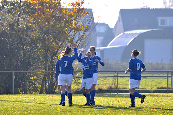 Teisterbanders VR1 - Brabantia VR1