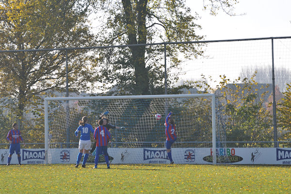 Teisterbanders VR1 - Brabantia VR1