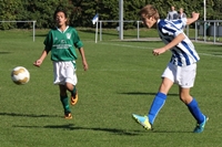 Foto: Teisterbanders B1- Den Dungen B1