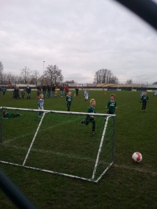 Foto: Teisterbanders mini's bij  Hedel