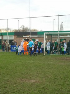 Foto: Teisterbanders mini's bij  Hedel