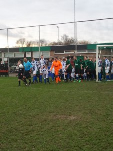 Foto: Teisterbanders mini's bij  Hedel