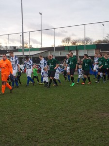 Foto: Teisterbanders mini's bij  Hedel