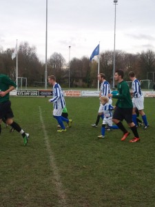 Foto: Teisterbanders mini's bij  Hedel