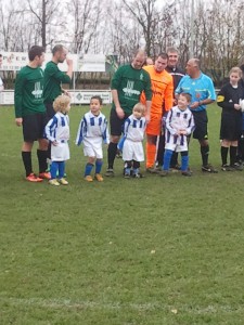 Foto: Teisterbanders mini's bij  Hedel