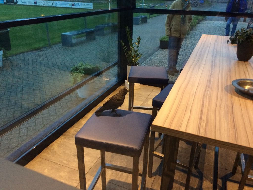 Foto: Kraaij
