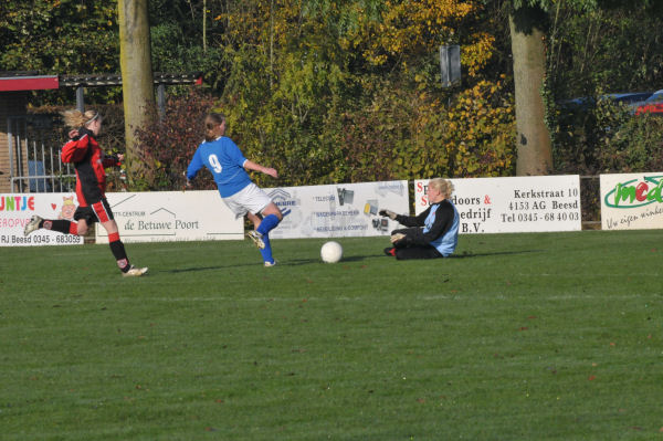 Foto: Beesd DA2 - Teisterbanders DA1