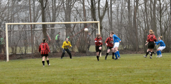 Foto: Berkdijk DA1 - Teisterbanders DA1