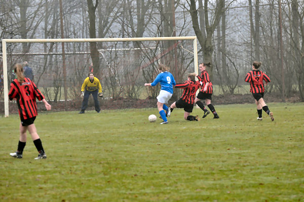 Foto: Berkdijk DA1 - Teisterbanders DA1