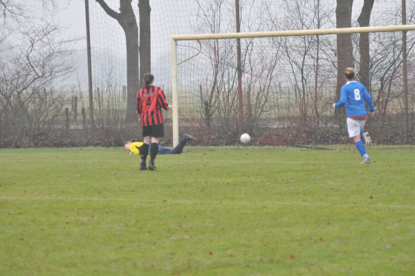 Foto: Berkdijk DA1 - Teisterbanders DA1