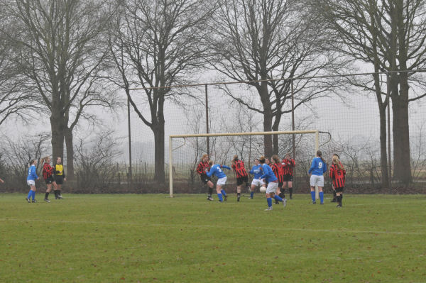 Foto: Berkdijk DA1 - Teisterbanders DA1