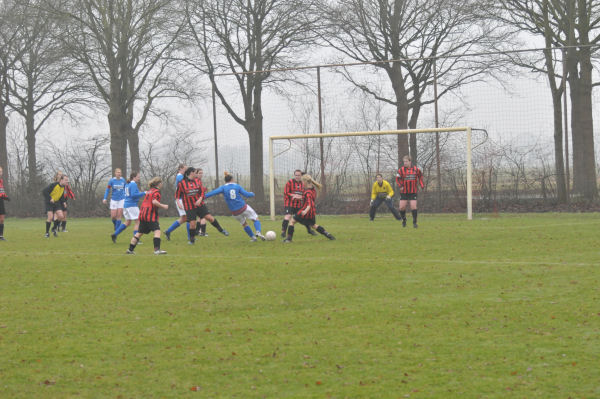 Foto: Berkdijk DA1 - Teisterbanders DA1