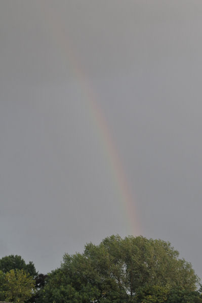 Foto: Teisterbanders - Woudrichem