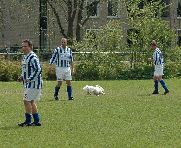 Ook het derde kende een 'eekhoorn' incident.