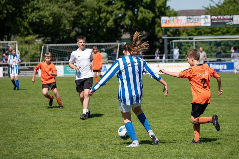 Sponsor Teisterbanders JMO13-1