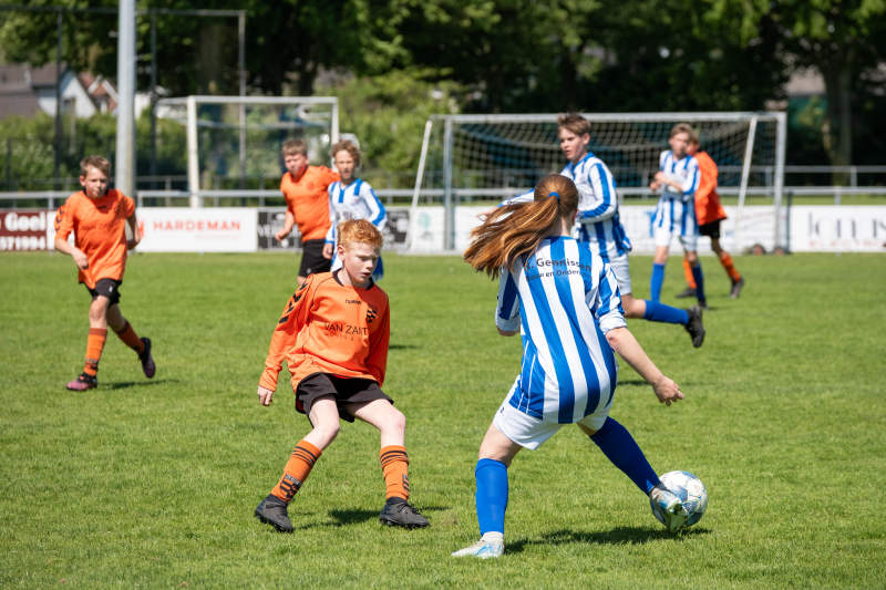 Sponsor Teisterbanders JMO13-1